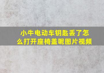 小牛电动车钥匙丢了怎么打开座椅盖呢图片视频