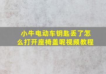 小牛电动车钥匙丢了怎么打开座椅盖呢视频教程