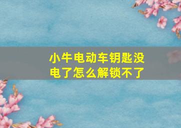 小牛电动车钥匙没电了怎么解锁不了