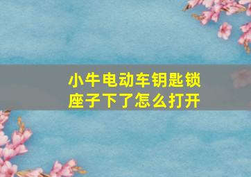 小牛电动车钥匙锁座子下了怎么打开