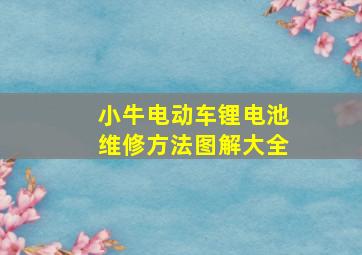 小牛电动车锂电池维修方法图解大全