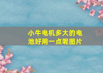 小牛电机多大的电池好用一点呢图片