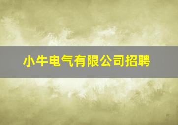 小牛电气有限公司招聘