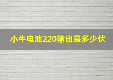 小牛电池220输出是多少伏