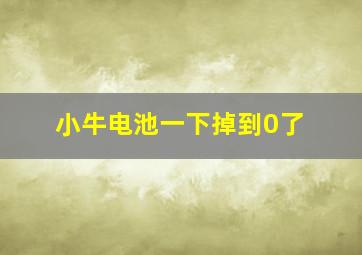 小牛电池一下掉到0了