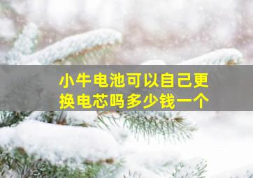 小牛电池可以自己更换电芯吗多少钱一个