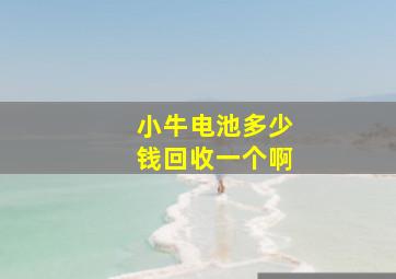 小牛电池多少钱回收一个啊