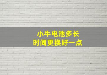 小牛电池多长时间更换好一点