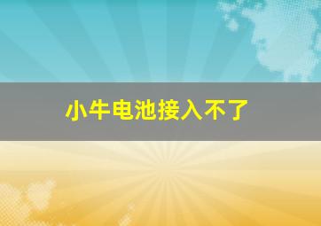 小牛电池接入不了