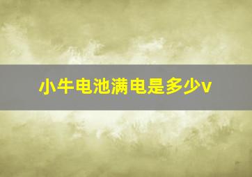 小牛电池满电是多少v