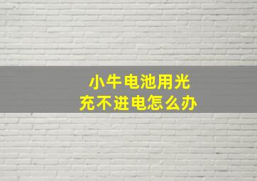 小牛电池用光充不进电怎么办