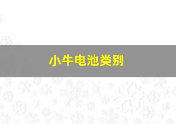 小牛电池类别