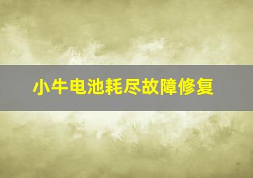 小牛电池耗尽故障修复