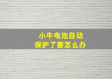 小牛电池自动保护了要怎么办