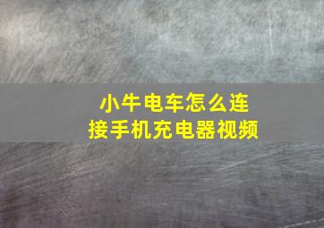 小牛电车怎么连接手机充电器视频