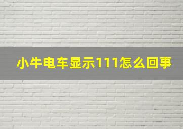 小牛电车显示111怎么回事