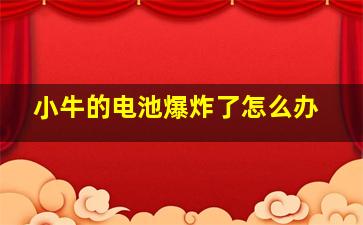 小牛的电池爆炸了怎么办