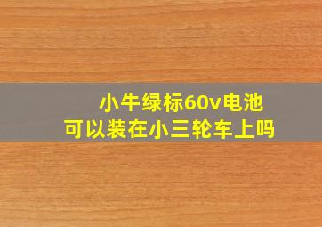 小牛绿标60v电池可以装在小三轮车上吗