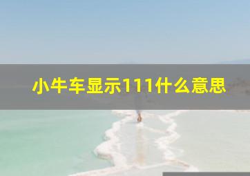 小牛车显示111什么意思