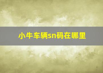 小牛车辆sn码在哪里