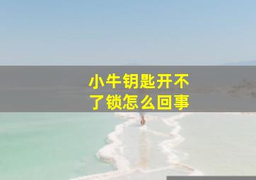 小牛钥匙开不了锁怎么回事