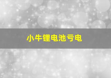 小牛锂电池亏电