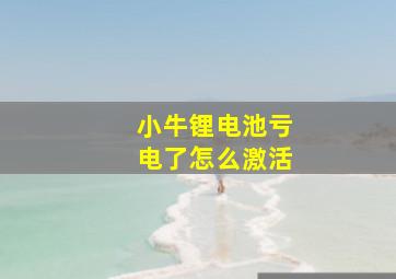 小牛锂电池亏电了怎么激活