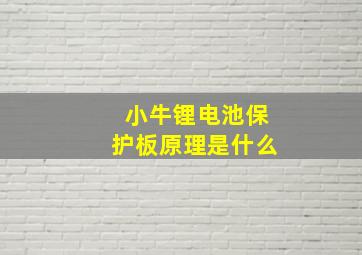 小牛锂电池保护板原理是什么