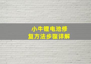 小牛锂电池修复方法步骤详解