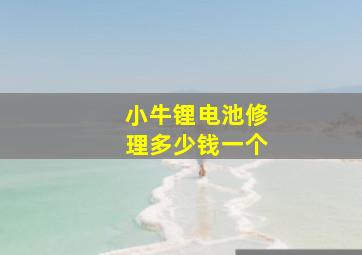 小牛锂电池修理多少钱一个