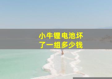 小牛锂电池坏了一组多少钱