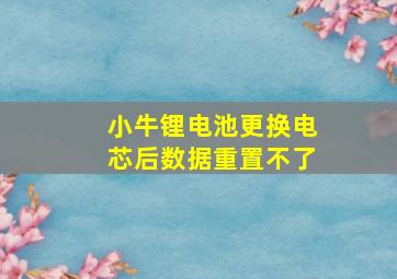 小牛锂电池更换电芯后数据重置不了