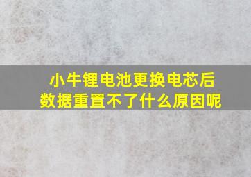 小牛锂电池更换电芯后数据重置不了什么原因呢