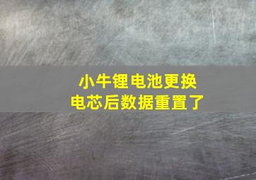 小牛锂电池更换电芯后数据重置了