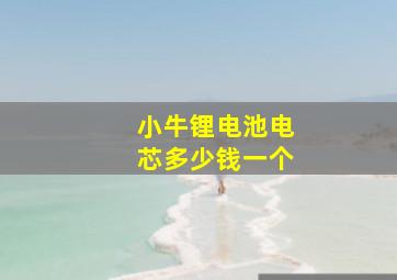 小牛锂电池电芯多少钱一个