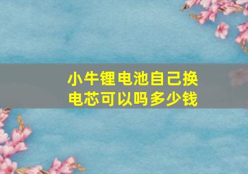 小牛锂电池自己换电芯可以吗多少钱