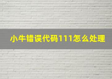 小牛错误代码111怎么处理