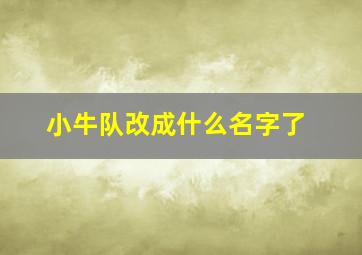 小牛队改成什么名字了