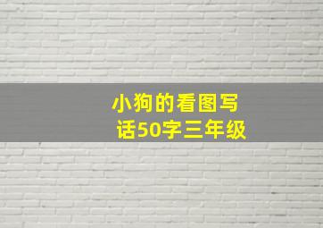 小狗的看图写话50字三年级