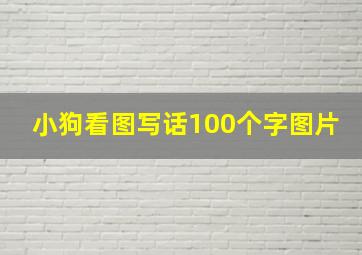 小狗看图写话100个字图片