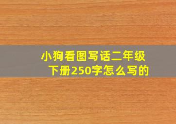 小狗看图写话二年级下册250字怎么写的