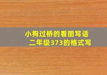 小狗过桥的看图写话二年级373的格式写