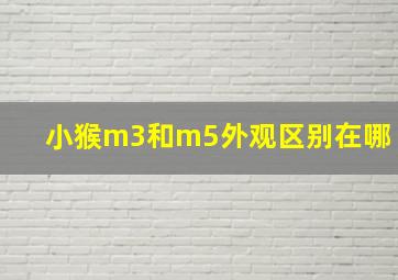 小猴m3和m5外观区别在哪