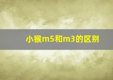 小猴m5和m3的区别