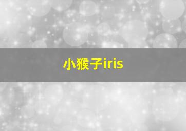 小猴子iris