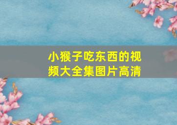 小猴子吃东西的视频大全集图片高清