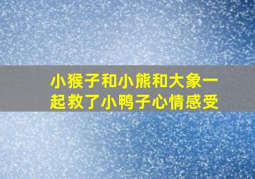 小猴子和小熊和大象一起救了小鸭子心情感受