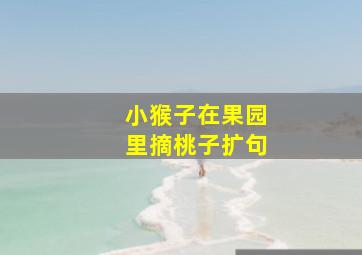 小猴子在果园里摘桃子扩句