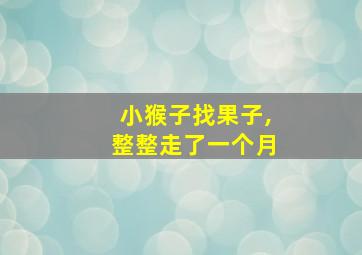 小猴子找果子,整整走了一个月