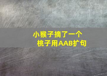 小猴子摘了一个桃子用AAB扩句